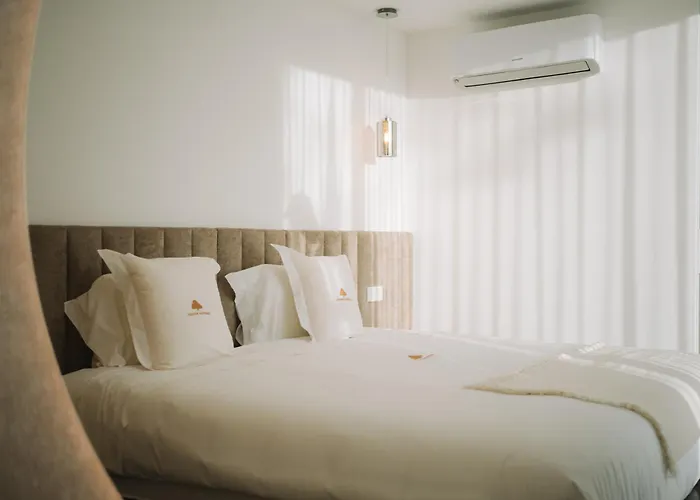 Sun House In Cabedelo Casa vacanze *