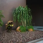 Sun House In Cabedelo Дом отдыха *