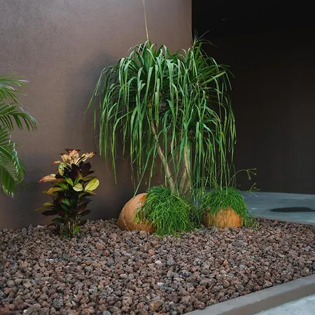 Sun House In Cabedelo Semesterbostad *